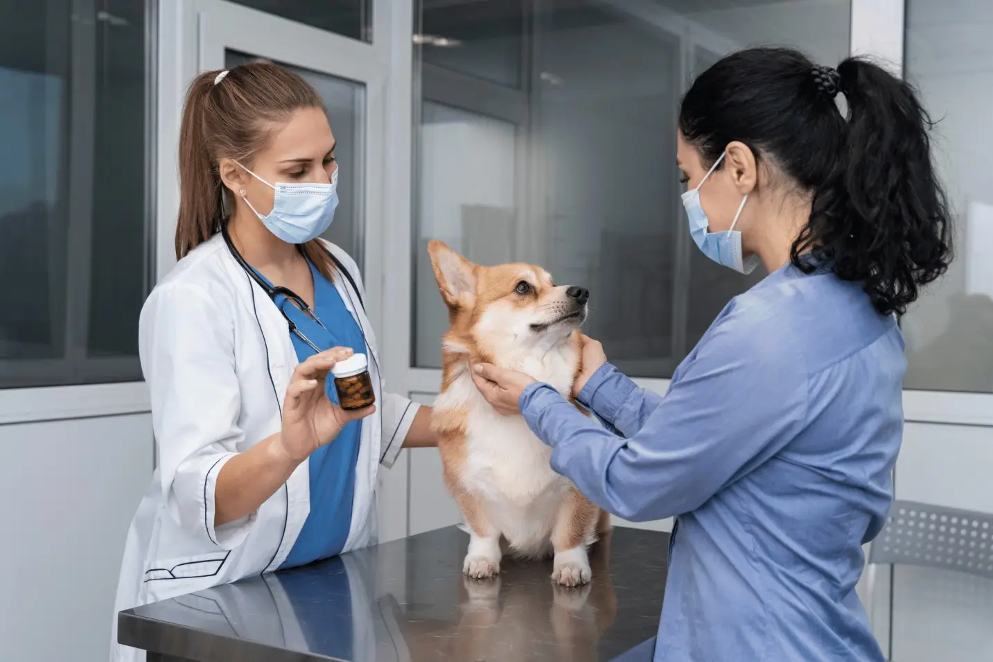 Veterinary practice valuation and acquisition consulting
